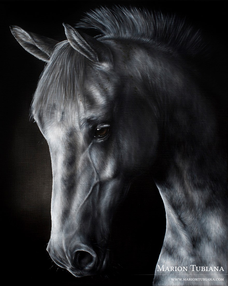 Tubiana Marion - Horse and Animal Artist - Pastels, paintings